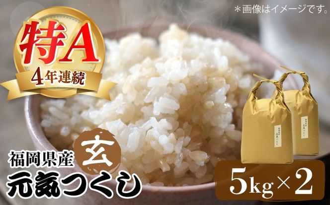 令和7年産【特A】評価のお米「元気つくし」5kg×2袋 [10kg] [玄米]《築上町》【株式会社ベネフィス】[ABDF031]