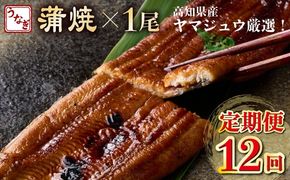 【12回定期便】ヤマジュウ厳選 国産 ウナギ 蒲焼き 1尾(約175g～180g)×12回 12ヶ月 タレ付き 鰻 うなぎ かば焼き 加工品 魚 魚介類 高知県産 冷凍 _ yj045