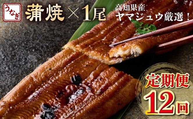 ymˎszy12ցz}WEI Y EiM Ă 1(175g`180g)×12 12 ^t V Ȃ ΏĂ Hi   mY Ⓚ _ yj045