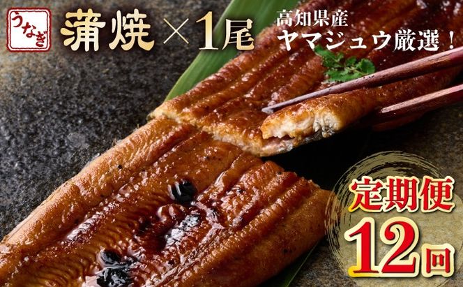 【12回定期便】ヤマジュウ厳選! 国産 ウナギ 蒲焼き 1尾(約175g～180g)×12回 12ヶ月 タレ付き 鰻 うなぎ かば焼き 加工品 魚 魚介類 高知県産 冷凍 _ yj045