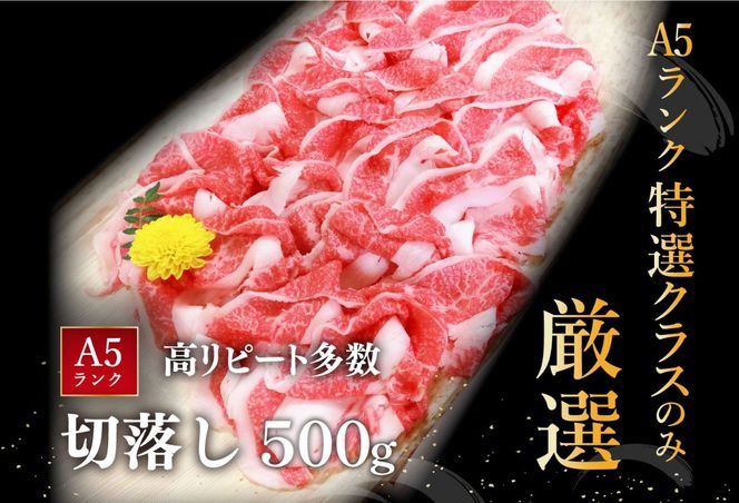 近江牛A5ランク切落し【500g】【訳あり】【DG12U】