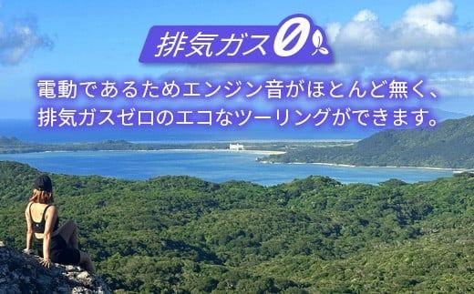 電動三輪バギーで行く選べるガイド付ツアー【 沖縄 石垣島 レンタル バイク バギー トライク ツアー ガイド 】RO-4