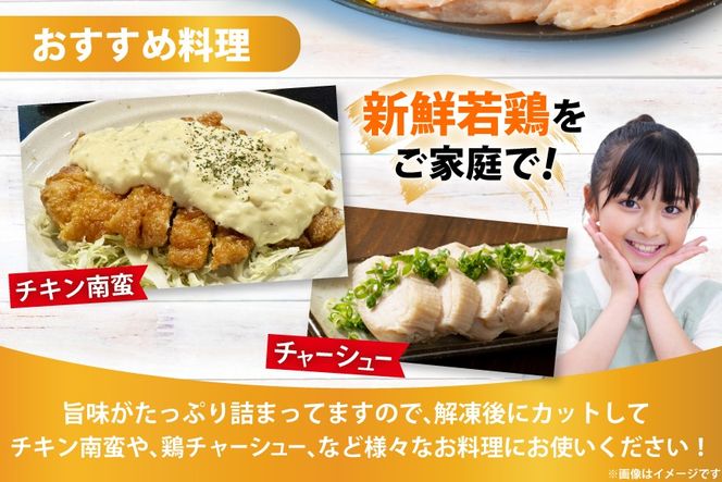 宮崎県産若鶏むね肉4kg [エム・ティ・シー 宮崎県 日向市 452061359] 冷凍 個包装 小分け 国産 国内産 宮崎 鶏むね 鶏ムネ 若鶏 鶏肉