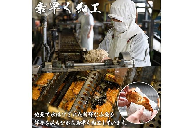 訳あり さつま揚げ 天ぷら あげみ 詰合せ(合計800g・400g×2袋)すりみ さつまあげ かまぼこ じゃこ天 ちくわ 蒲鉾 おつまみ おかず 弁当 惣菜 おでん 鍋 魚 魚介 国産 宮崎県【KI-7】【イチマル食品加工】