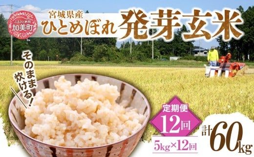 【12回定期便】 簡単に炊ける 宮城県産 ひとめぼれ 発芽玄米 5kg 計60kg(5kg×12回) [菅原商店 宮城県 加美町] 米 こめ コメ 玄米 発芽玄米 ご飯 | sg-hb05-hg-t12