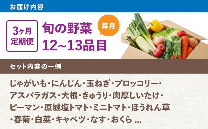 【3回定期便】野菜のプロが選ぶ 旬の野菜セット 12〜13品目 野菜定期便 / 野菜 やさい セット 新鮮 / 南島原市 / 愛2農園[SGG004]