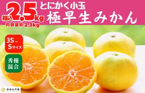 小玉みかん 極早生 箱込 2.5kg (内容量約 2.3kg) 3S～Sサイズ混合 秀品 優品 混合 有田みかん 和歌山県産 【みかんの会】［2026年10月上旬頃より順次発送予定］ AX225