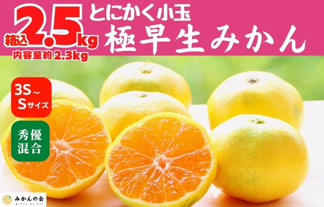 小玉みかん 極早生 箱込 2.5kg (内容量約 2.3kg) 3S～Sサイズ混合 秀品 優品 混合 有田みかん 和歌山県産 【みかんの会】［2026年10月上旬頃より順次発送予定］ AX225