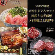 〈毎月定期便〉紀州和歌山うまいもんセットC(生まぐろ・うなぎ蒲焼・熊野牛)全3回 ※離島への配送不可