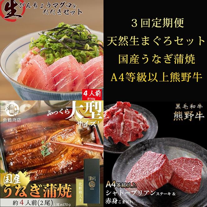 〈毎月定期便〉紀州和歌山うまいもんセットC(生まぐろ・うなぎ蒲焼・熊野牛)全3回 ※離島への配送不可