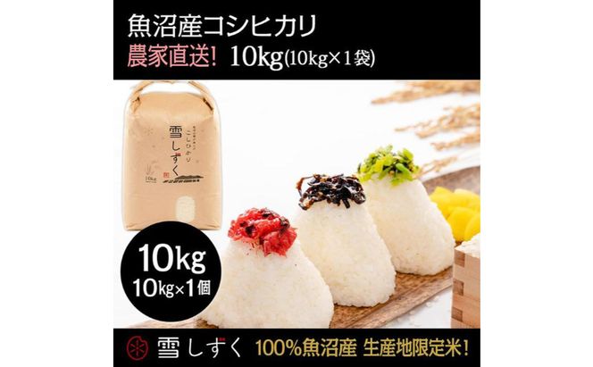 令和7年産！魚沼産コシヒカリ【農家直送!】 10kg×1袋 お米 米 コメ 