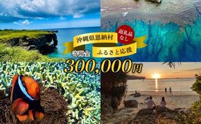 【返礼品なし】沖縄県恩納村ふるさと応援寄附金 300000円