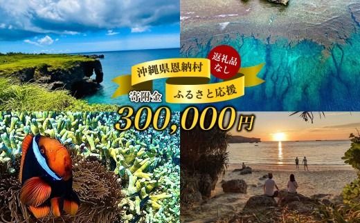 【返礼品なし】沖縄県恩納村ふるさと応援寄附金 300000円