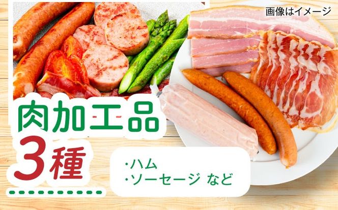 【年内発送】糸島産 肉 米 野菜 果物 厳選詰め合わせ MINORI BOX Lサイズ 糸島市 / emma.Inc / 米 肉 野菜 果物 詰め合わせ[AOP015]