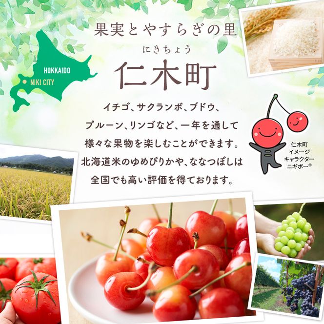 先行受付 【有機JAS認証】北海道仁木町産オーガニック冷凍ブルーベリー 500g×2パック 計1.0kg 果物 フルーツ 冷凍フルーツ 有機栽培 樹上完熟 手摘み トッピング  [株式会社 自然農園]