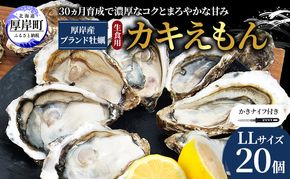 厚岸で産まれ30ヵ月育成 北海道 厚岸産 牡蠣 カキえもん LLサイズ 20個 カキ 