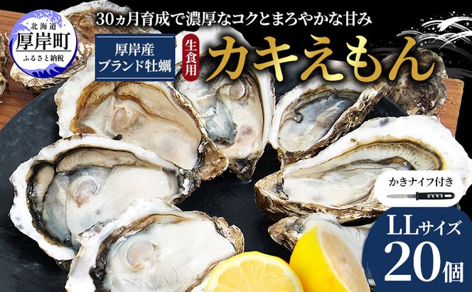 厚岸で産まれ30ヵ月育成 北海道 厚岸産 牡蠣 カキえもん LLサイズ 20個 カキ 