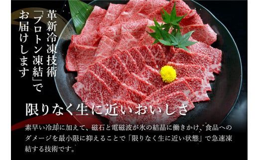【げんさん】近江牛A5ランク焼肉美味セット【800g】【DG10W1】（滋賀県　近江八幡市）