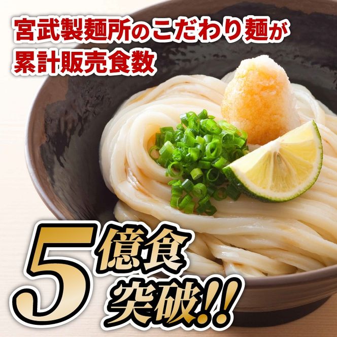 丸亀の讃岐うどん 半生麺 6人前 つけだし かけだし 各3袋 セット 本場の製麺所が本気で作った うどん 讃岐うどん さぬきうどん 半生うどん 半生 麺 麺類 個包装 常温 常温保存 簡単調理 日持ち 備蓄 さぬき 讃岐 香川県 香川 丸亀市 丸亀