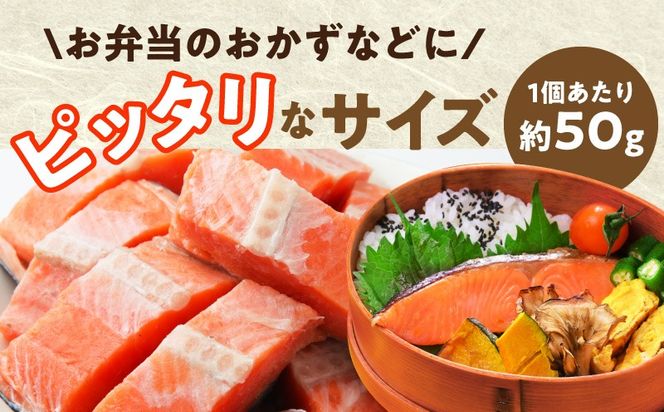 G3711 【定期便】銀鮭 切身 約50g×20切れ 全2回【2026年1月＆2026年4月発送 小分け 漁師 手切り 1kg さけ サケ 切り身 弁当 朝食 時短 訳あり サイズ不揃い 規格外 冷凍食品】