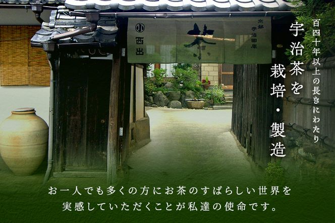 宇治抹茶そば「極」12人前〈宇治抹茶 抹茶 蕎麦 そば 石臼挽き 乾物　 温冷 年越し 老舗 詰合せ〉  加工食品 