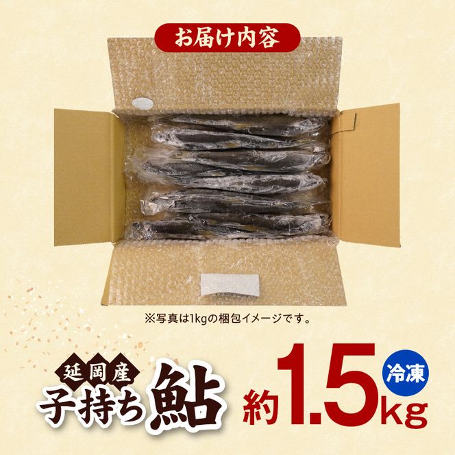 【冷凍】子持ち鮎約1.5kg N070-YB1106-2