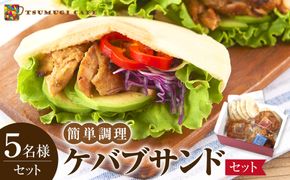 ケバブサンド セット 約5名分 ケバブチキンステーキ 230g×3食 ピタパン×5枚 肉料理 鶏肉 温めるだけ 惣菜 お手軽 簡単 ギフト 贈り物 ホームパーティー 304018_AG40