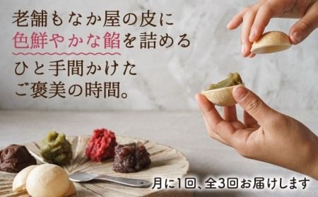 【全3回定期便】【 贈答用にも 】 糸モナカ 4種 8個 セット 糸島市 / わかまつ農園 [AHB047] もなか 最中 皮 和菓子 詰め合わせ ギフト スイーツ