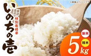【R8年産新米 先行受付】特別栽培米「いのちの壱」（5kg）＜農家直送＞ ［208K01］ 希少米 5kg 米 新米 精米 白米 ご飯 国産 産地直送 甘い 粘り強い もちもち お取り寄せ こだわり米 愛知県 小牧市 送料無料