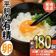 平飼い烏骨鶏のたまご (計10個) 元さん農園 卵 玉子 卵かけご飯