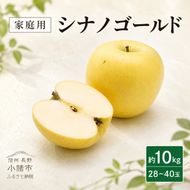 【2026年10月下旬～発送予定】 先行予約 訳あり りんご シナノゴールド 約10kg 28～40玉入 フルーツ 果物 甘い 訳あり 林檎 リンゴ