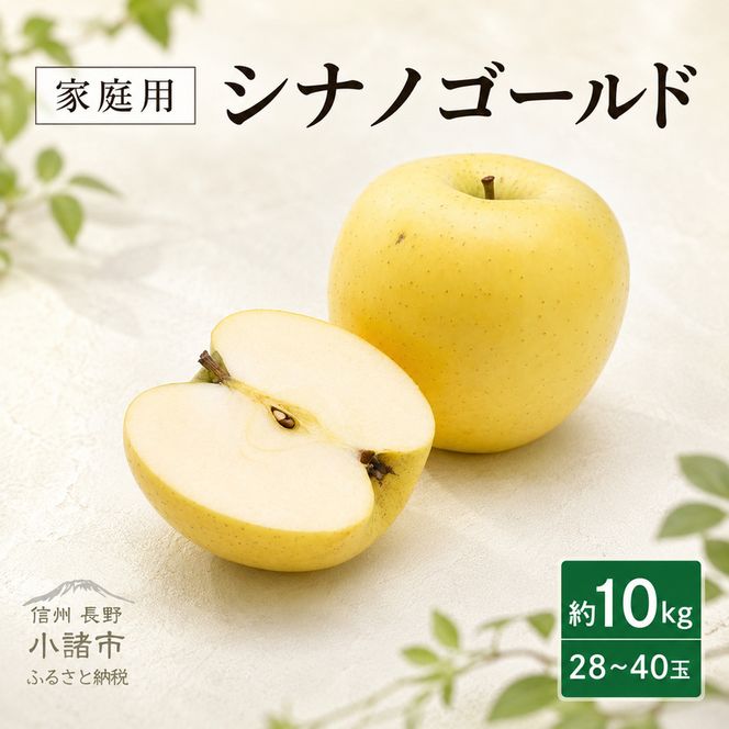 【2026年10月下旬～発送予定】 先行予約 訳あり りんご シナノゴールド 約10kg 28～40玉入 フルーツ 果物 甘い 訳あり 林檎 リンゴ