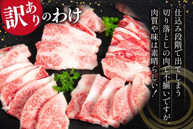 訳あり 黒毛和牛 仙台牛 切り落とし A5クラス 500g [マトン牧場 宮城県 気仙沼市 20565955] 肉 精肉 希少部位入り 焼肉用 焼肉 不揃い わけあり 小分け 冷凍