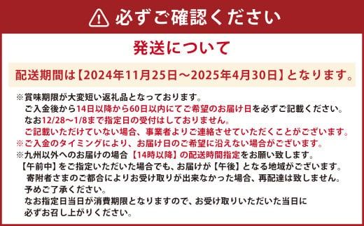 天草産活車海老 400g 大（2L） 9～11尾 活き車海老 車海老 車エビ 活き海老 活きエビ えび 海老 エビ 新鮮 魚介 【発送期間2024年11月25日から2025年4月30日】