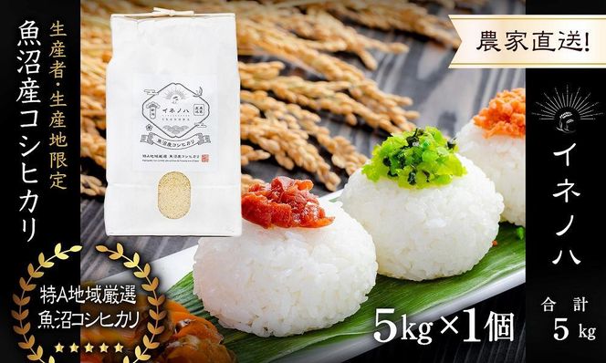 【令和7年産】 魚沼産コシヒカリ 「イネノハ 」精米(5kg×1) お米 白米 ご飯 産地直送 ミネラル 栄養分 こだわり 人気 新鮮 