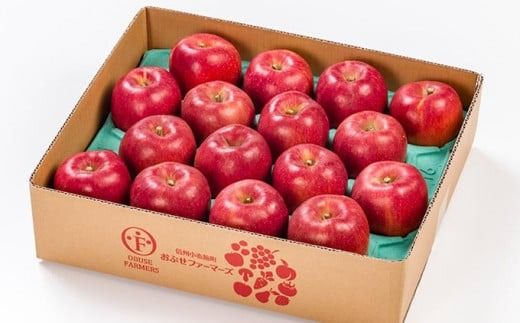 あいかの香り 約5kg 11～18玉 ［おぶせファーマーズ］ 果物 フルーツ りんご 林檎 リンゴ 長野県産 信州産 令和7年産 【2025年11月上旬～12月上旬発送】 ［F-234］