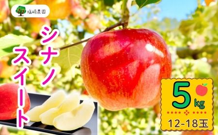 【先行予約丨2026年10月中旬より順次発送】シナノスイート【約5kg (11〜20玉)】(At-012)丨長野県 飯山市 おすすめ ランキング おいしい 高評価 大人気 先取り 産地直送 りんご