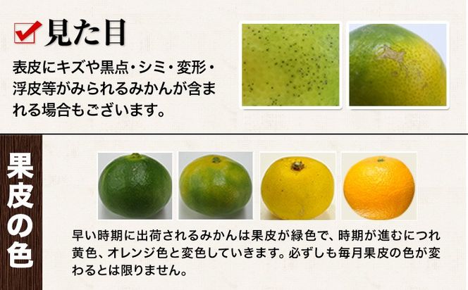 訳あり みかん 小玉みかん 定期便 くまもと小玉みかん 5kg (2.5kg×2箱) 10kg (10kg×1箱) 選べる回数 秋 旬 不揃い 傷 ご家庭用 SDGs 小玉 たっぷり 熊本県 産 S-3Sサイズ フルーツ 旬 柑橘 長洲町 温州みかん《10月-11月出荷》---fn_nkomikantei_12500_5kg_oct2---