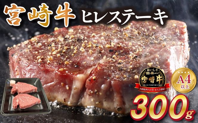 y{茧юsz{茧mqEA4ȏ{苍qXe[L 300gi {苍  q Xe[L Ԑg 2 Ⓚ ēj