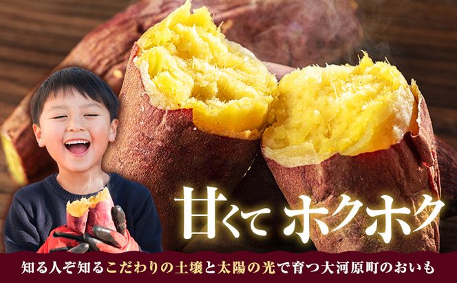 さつまいも 約10kg 2種詰合せ 紅はるか ふくむらさき サツマイモ 宮城県産 甘い 秋 冬 スイーツ 産地直送 宮城県 大河原町