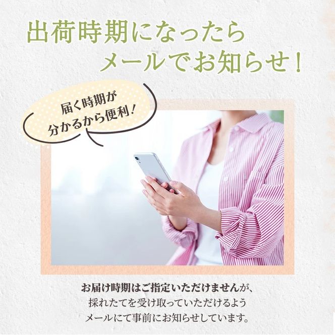 定期便 2回 先行予約 【 桃 白桃 6～7月頃 梨 8～10月頃 】白鳳 特製桃源郷錦 約1kg、清流錦梨 約5kg もも モモ なし フルーツ 果物 デザート お楽しみ 2026年発送 配送不可:離島 