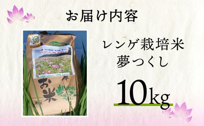 【先行予約】レンゲ 栽培米 夢つくし 10kg 【2025年10月以降順次発送】《築上町》【久楽農園】 [ABAT002]