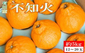 【濃厚】有田の不知火約5kg（12玉～20玉おまかせ） ※2027年2月中旬～2027年4月中旬頃に順次発送予定（日付指定不可）【tec861A】