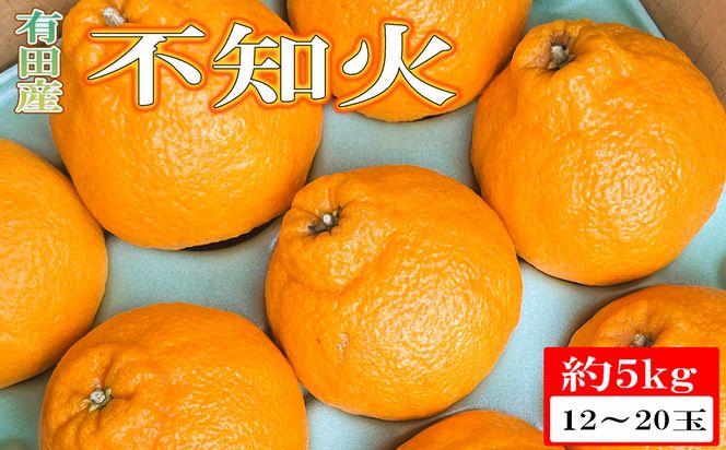 【濃厚】有田の不知火約5kg（12玉～20玉おまかせ） ※2027年2月中旬～2027年4月中旬頃に順次発送予定（日付指定不可）【tec861A】