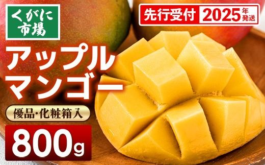 【化粧箱入】【先行受付・2025年発送】くがに市場の産直アップルマンゴー約800g【優品】