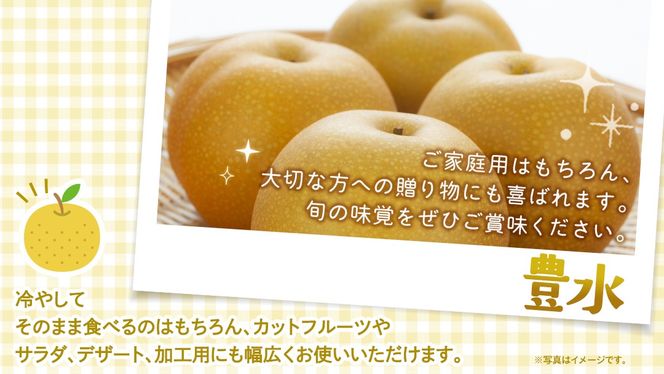 ＼ 選べる内容量 ／ 豊水 梨 約3kg / 約5kg / 約10kg 【2026年9月より発送開始】（茨城県共通返礼品 [梨]：大子町産） なし 旬 お取り寄せ フルーツ 甘い ジューシー 和梨 時期