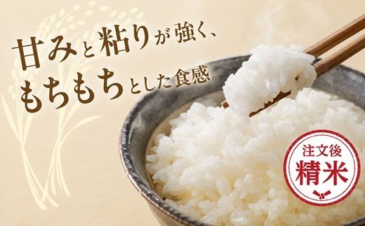コシヒカリ 精米 10kg (5kg×2) ( 米 お米 こめ コメ おこめ 白米 精米 こしひかり コシヒカリ 令和7年産コシヒカリ 松阪産コシヒカリ 三重県 松阪市)【002109A】