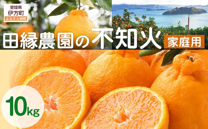 yQɕzys\zyƒpzsm 10kg ւ̔zs i2026N210菇j IKTA036