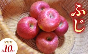 【2026年11月～発送】ふじ 家庭用 約10kg りんご リンゴ 林檎 果物 フルーツ 長野県 長野 山ノ内町