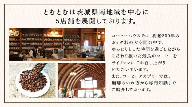JBC優勝者のいる珈琲専門店の 自家焙煎コーヒー ( コーヒードリップパック 4種類各2パック 計8パックセット) と カステラ のセット 【3市1町の共通返礼品】 つくば市 龍ケ崎市 牛久市 利根町 3市1町の特色等掲載 パッケージ まいりゅう とねりん ドリップコーヒー コーヒー ドリップパック ドリップ 珈琲 小分け 自家焙煎 茨城 トムトム お菓子 かすてら [BC020us]